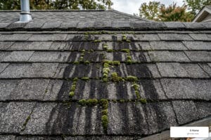 roof algae treatment on residential shingles - roof algae treatment